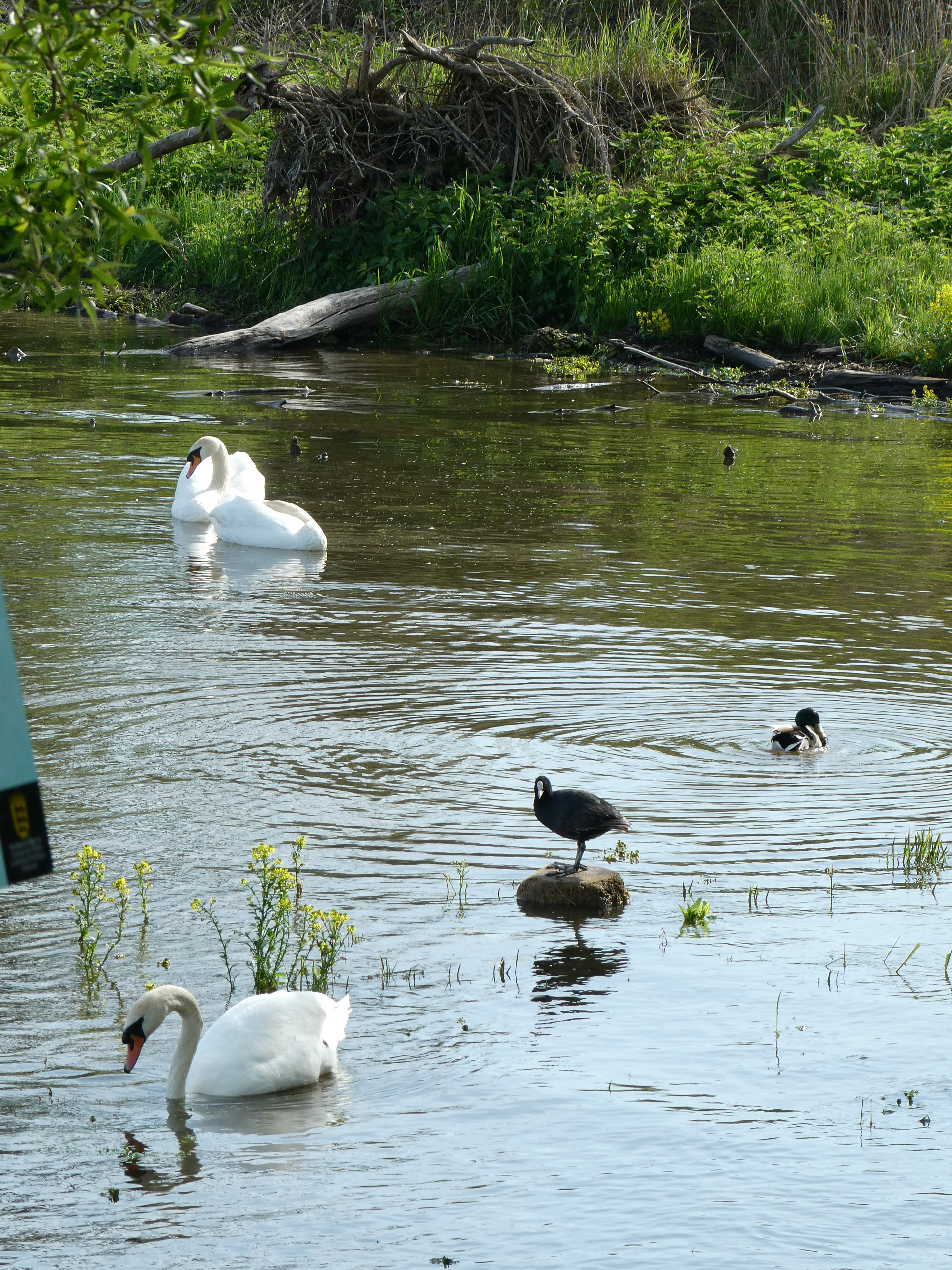 20230507091826 P1000216